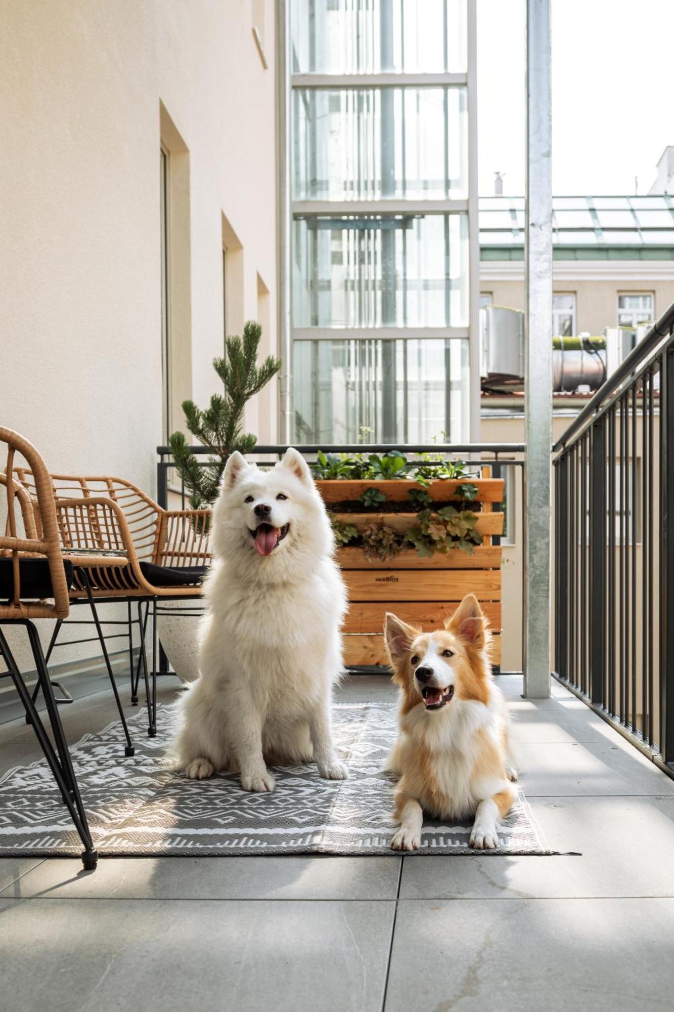 Urban Jungle Apartments Вена Экстерьер фото